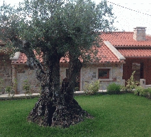 Casa das Pesqueiras Casa das Pesqueiras