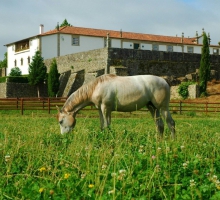Quinta da Casa Alta Quinta da Casa Alta