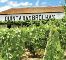 Quinta das Brôlhas Quinta das Brôlhas